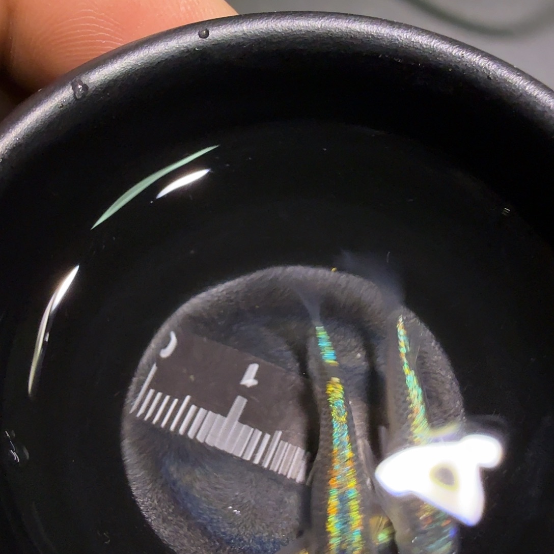 青鳉鱼一物一拍186