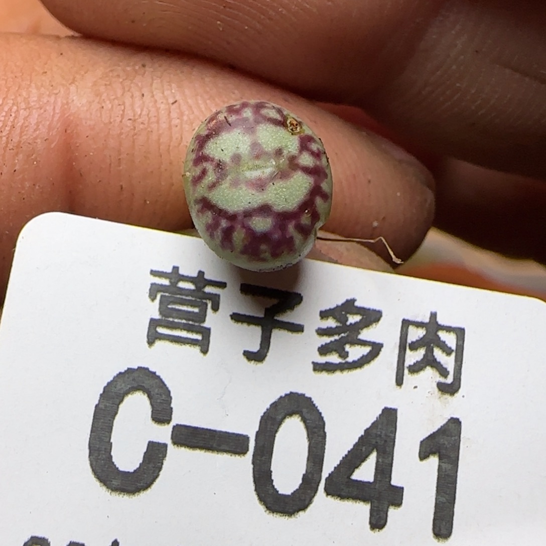 福利。                  