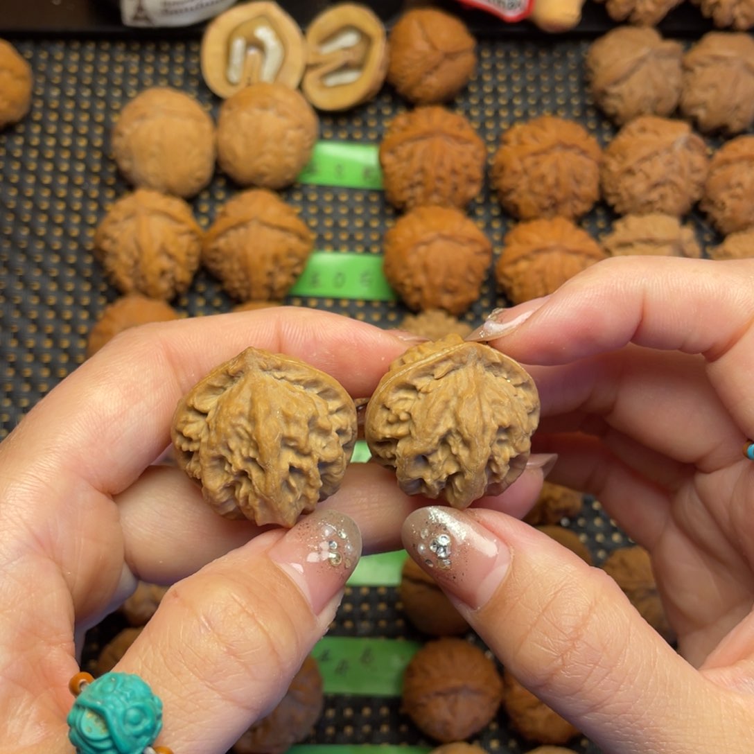 文玩核桃吊坠29边肚同尺全品小霸王龙0007