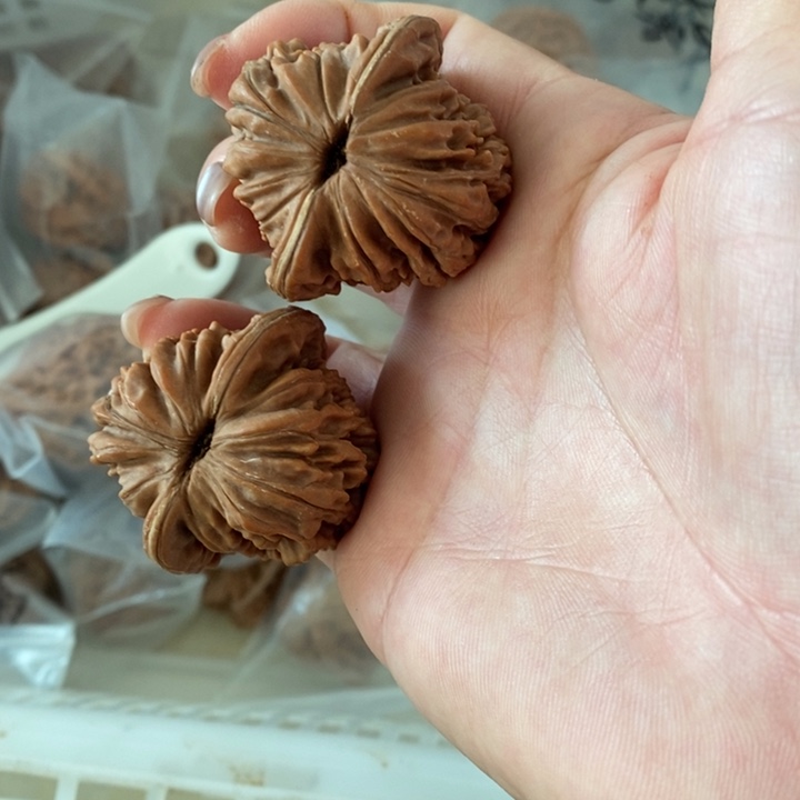 P**P四座楼四座楼四座楼