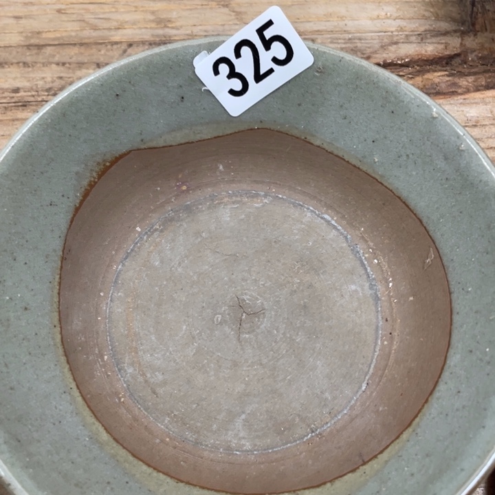 半***心珊珊姐家的老茶器325