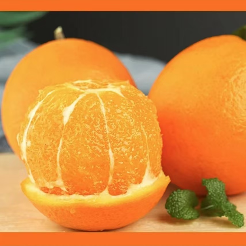 脐橙