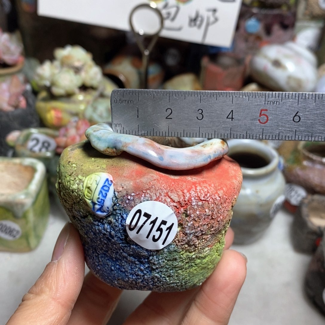 花盆拍3送一个小礼物