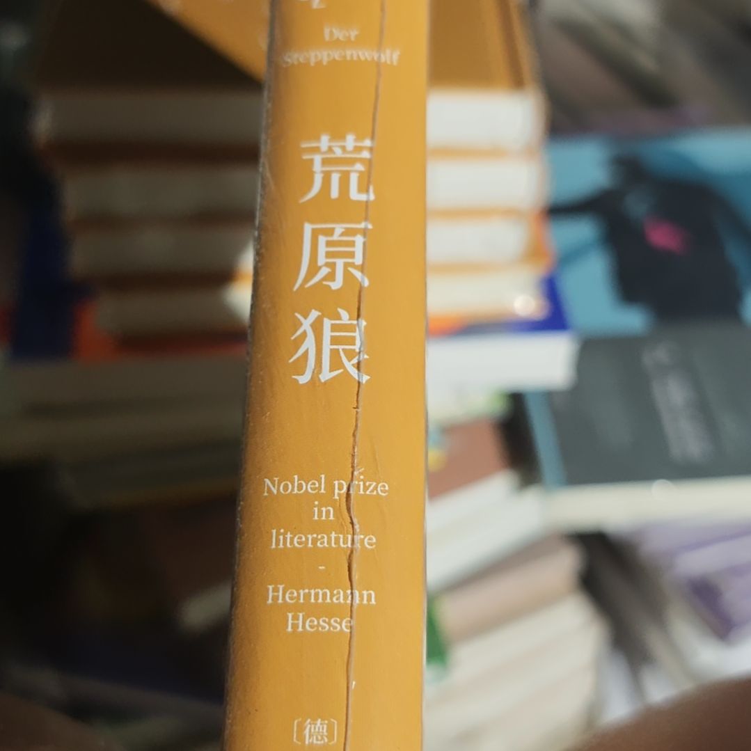 荒原狼精装塑封没书衣