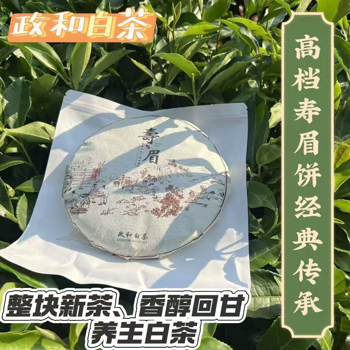 政和白茶 寿眉紧压茶