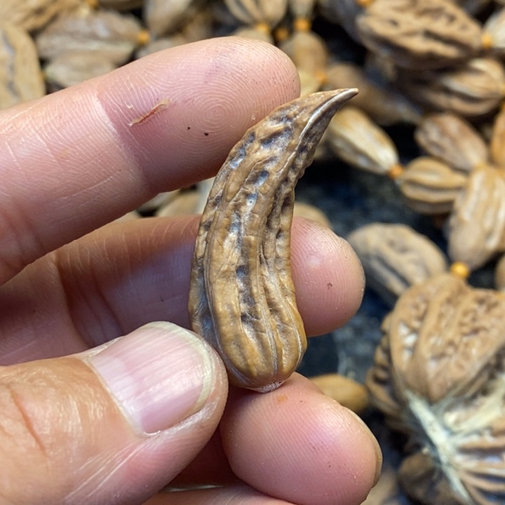 吊坠文玩核桃哪家182