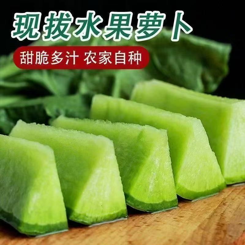 青皮水果萝卜辣萝卜批发价新鲜青萝卜生吃萝卜炒菜炸丸子腌萝卜干