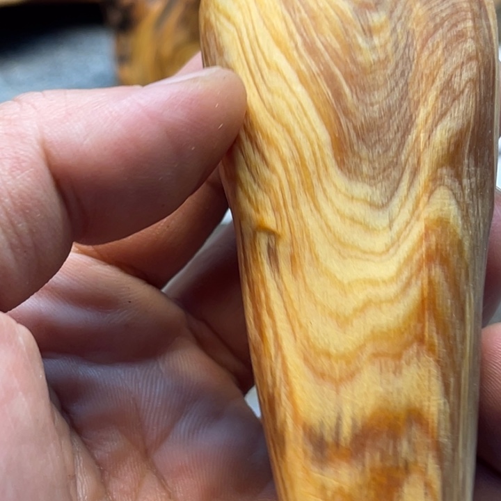 柏木（崖柏）崖柏42