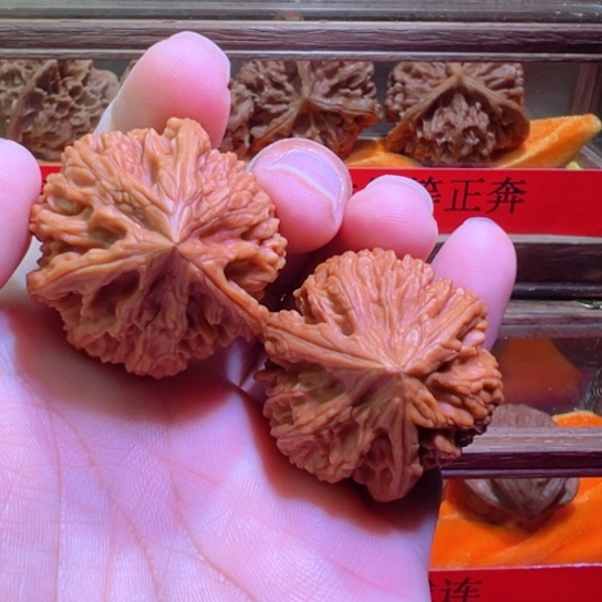 文山正奔38边37高精品