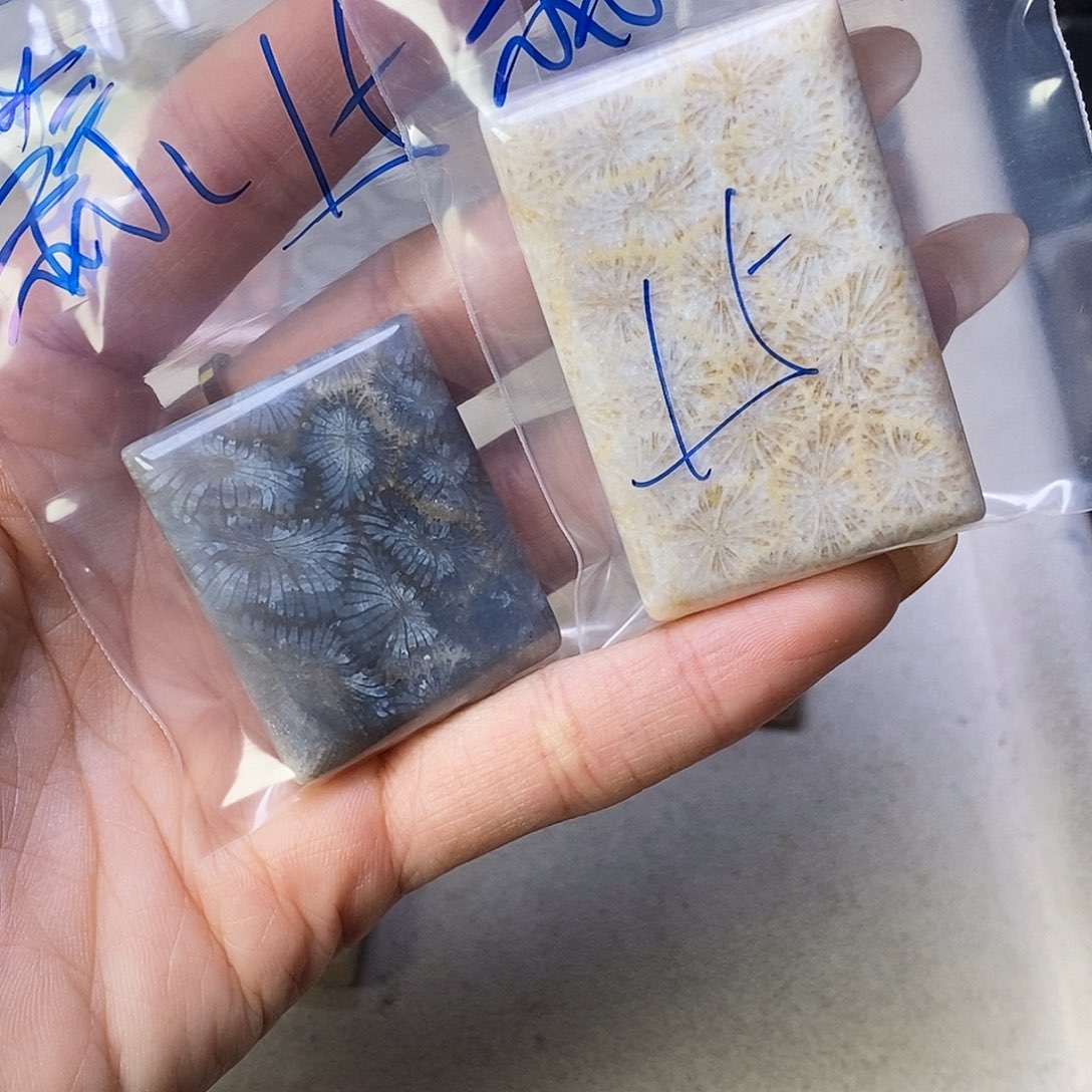 查罗石合金颈饰蒜**机