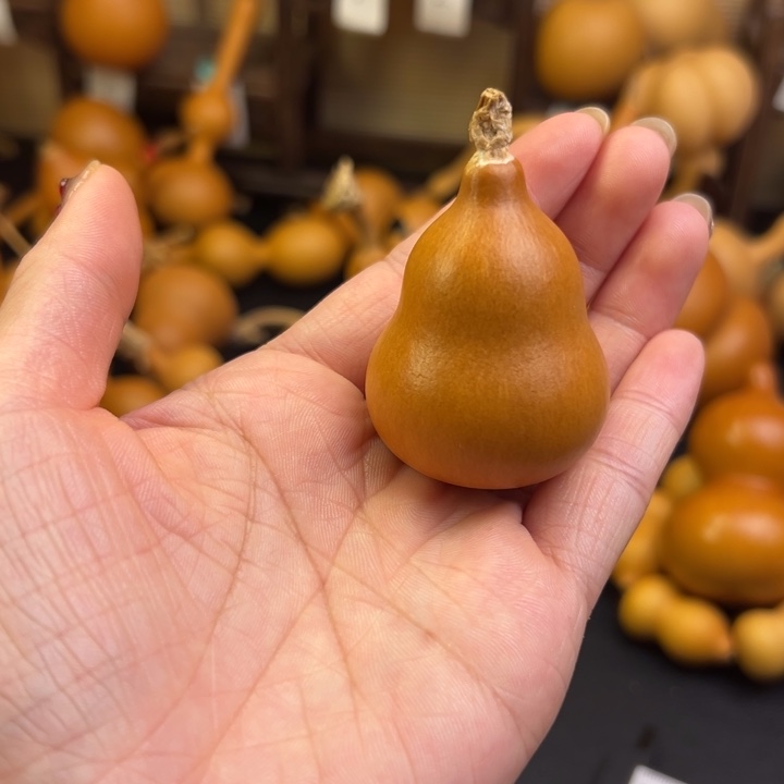 海***?葫芦葫芦葫芦葫芦