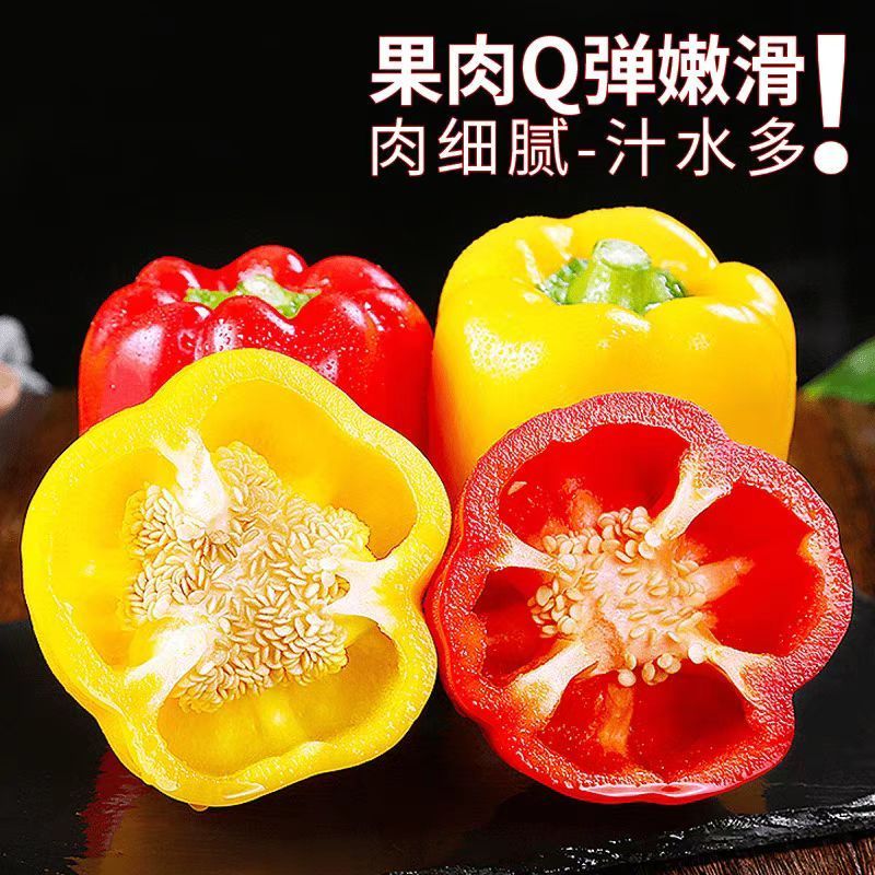 山东现摘五彩椒新鲜水果椒生吃甜脆灯笼椒红黄彩椒圆椒蔬菜