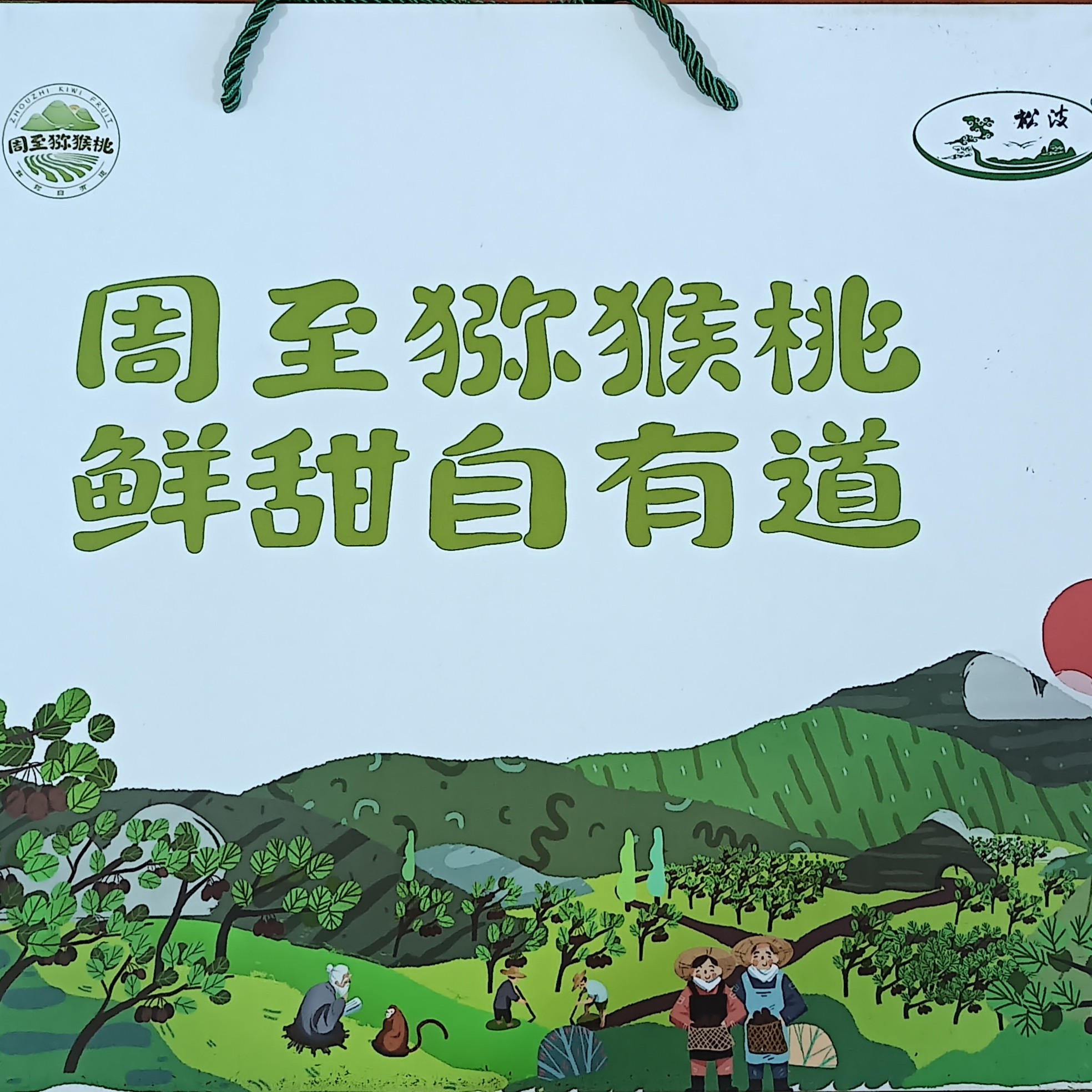 （松波）翠香猕猴桃
