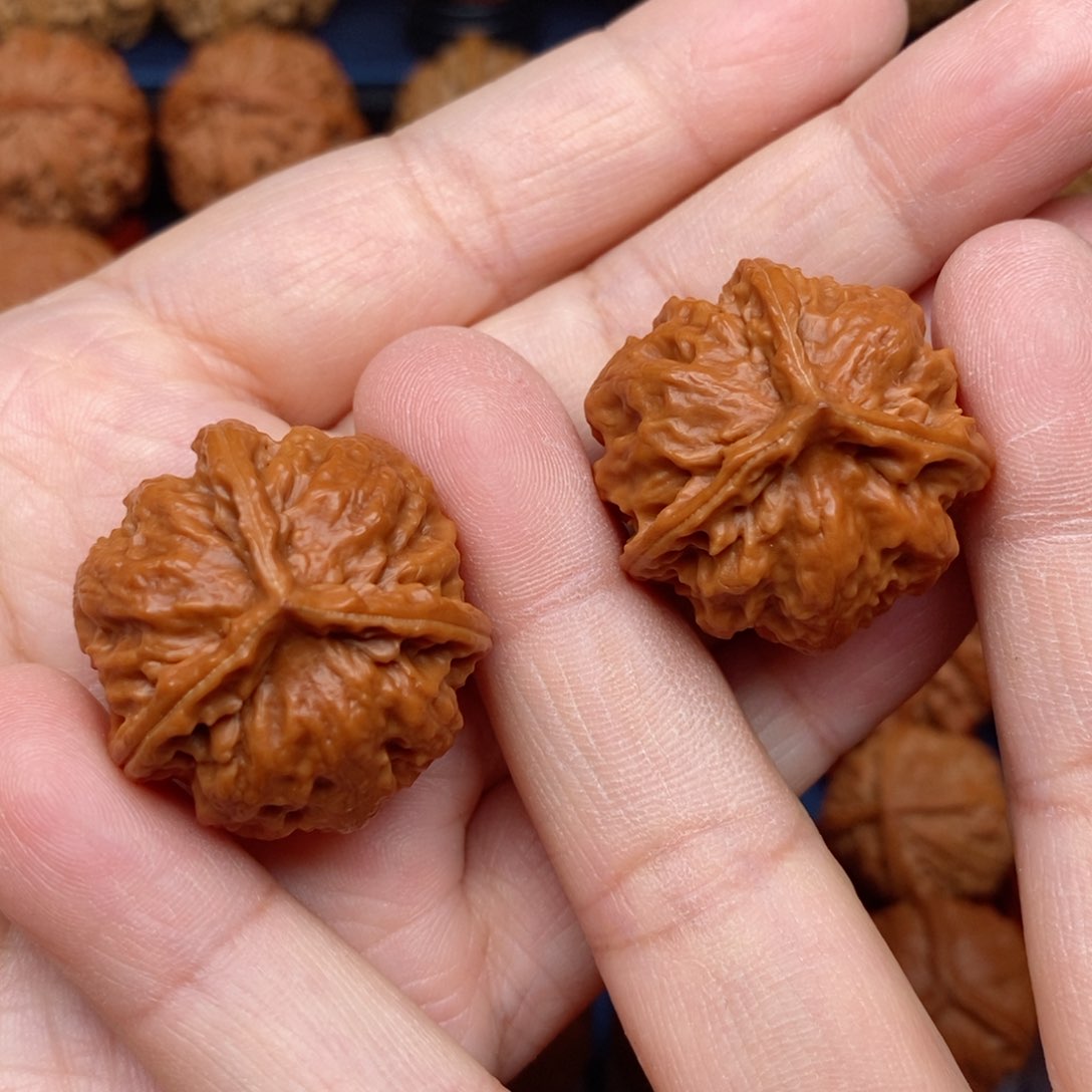 把件文玩核桃手捻野生霸王龙三棱