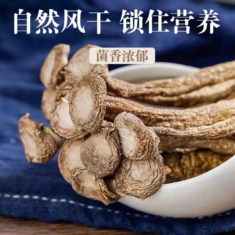 【鹿茸菇】现收云南高山农家晾晒自然吃法多样好吃脆脆菇500克
