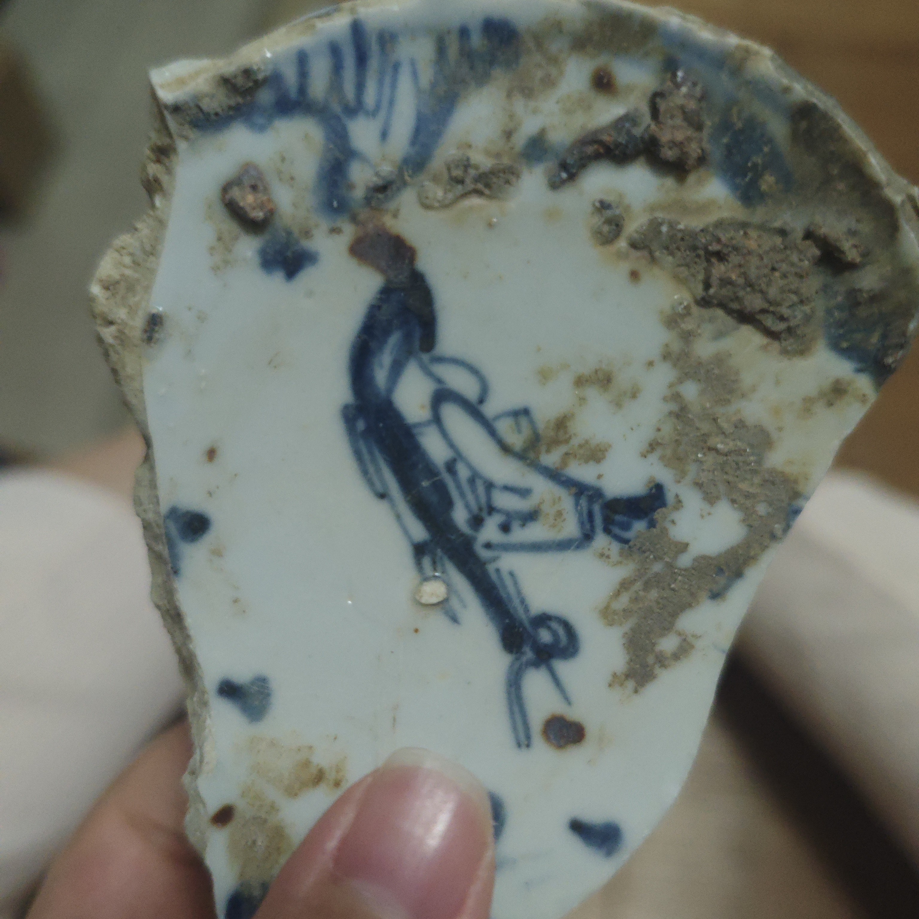 景德镇瓷器碎片1片