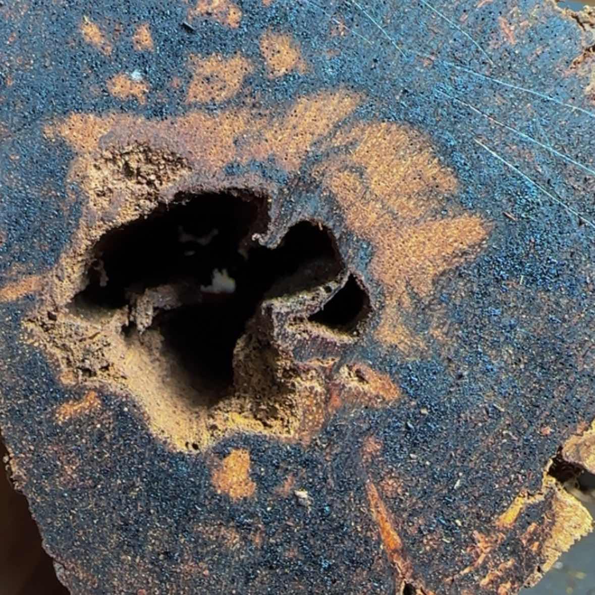 【闪购商品】降真香其他含*雅定制不退不换