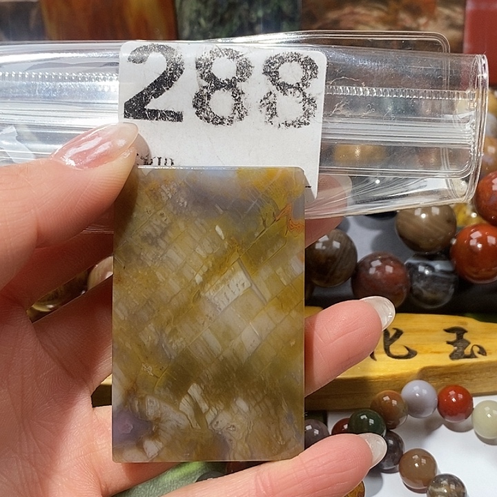 硅化玉未镶嵌天然北票树化玉吊坠