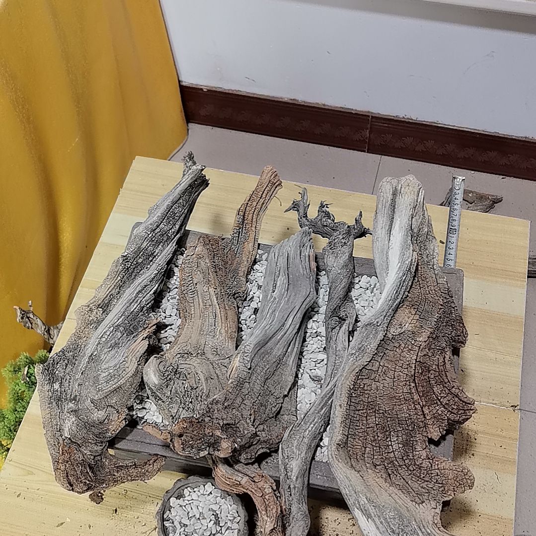 檀香紫檀（小叶紫檀）陈*五