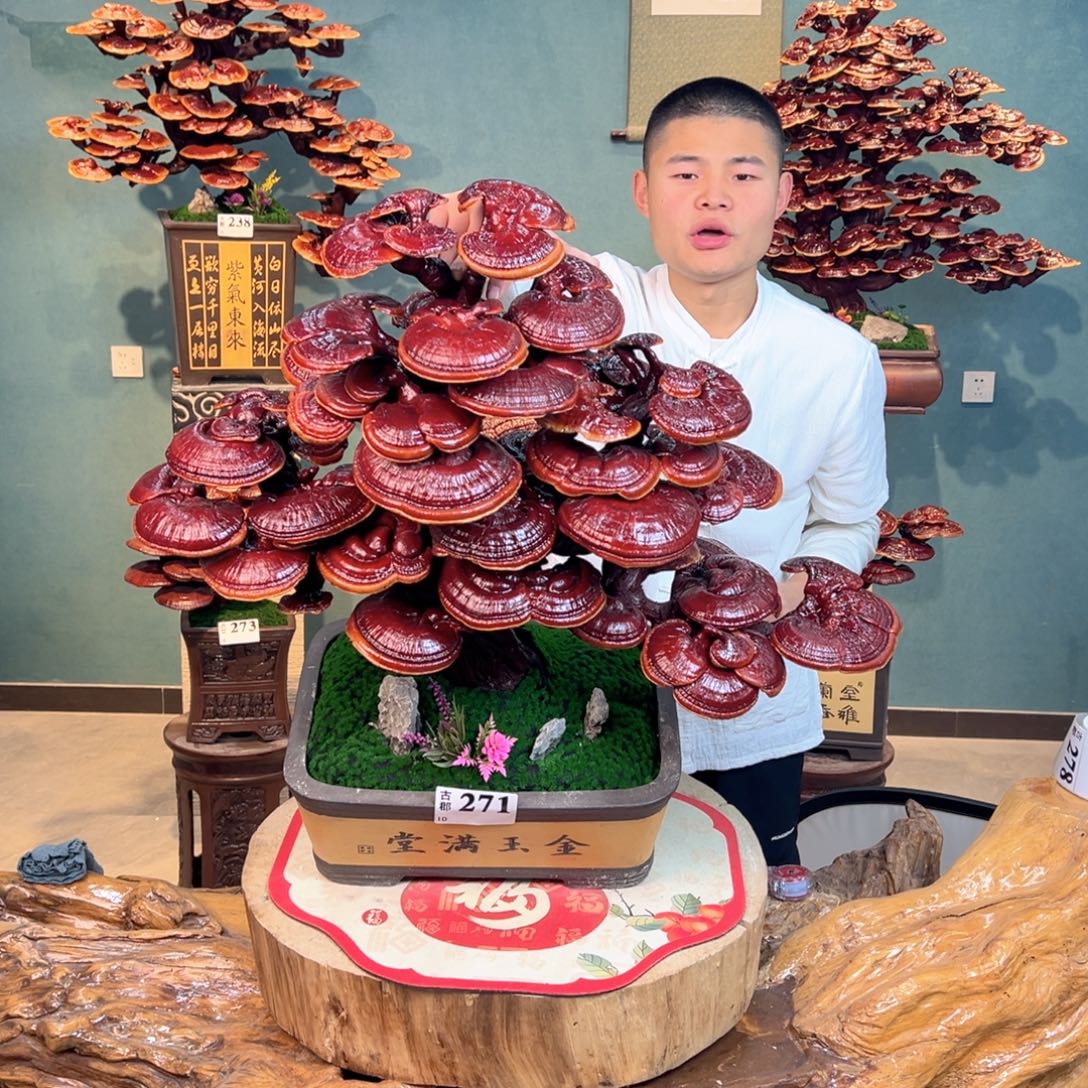 无花朵88889888878