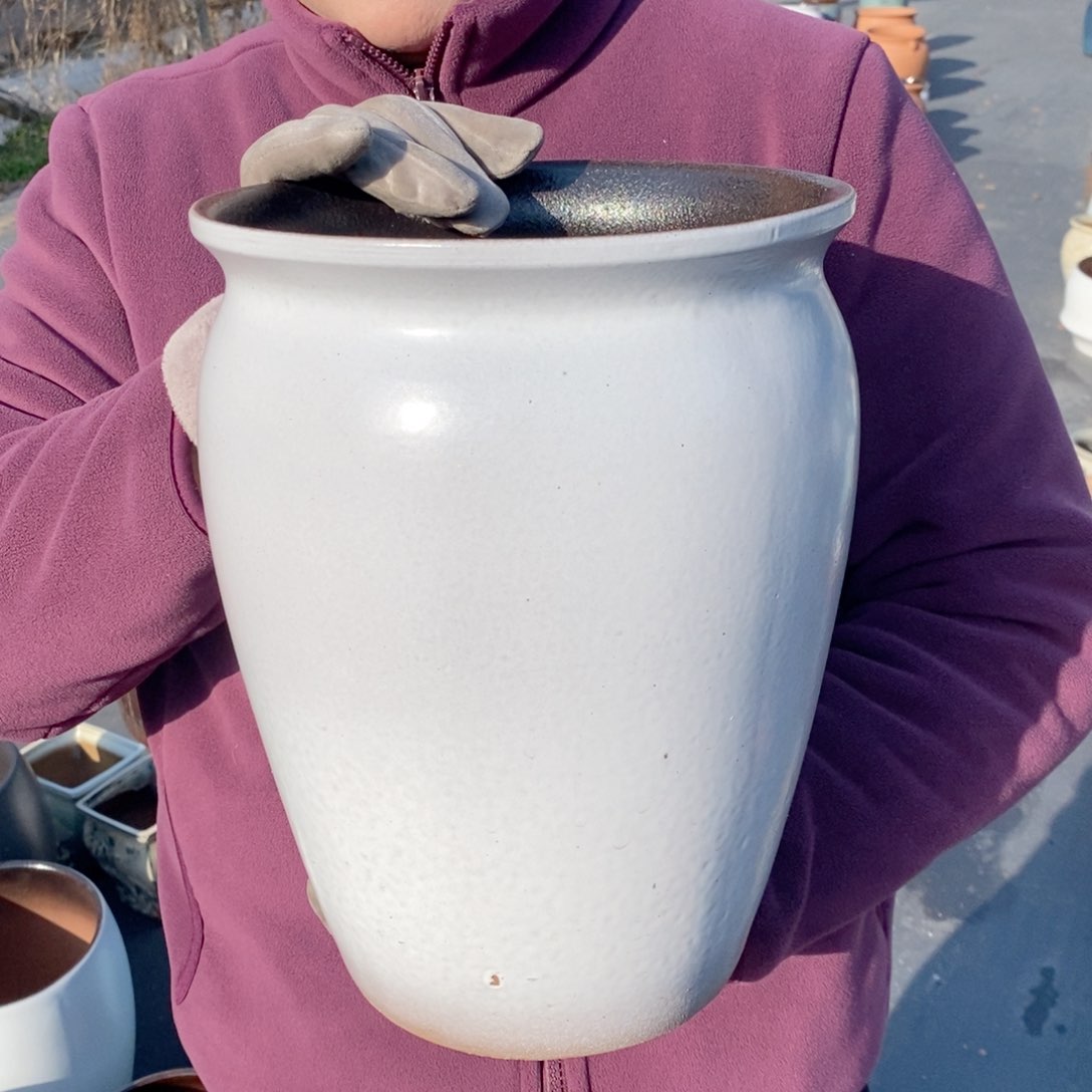 红陶口20高28～～～