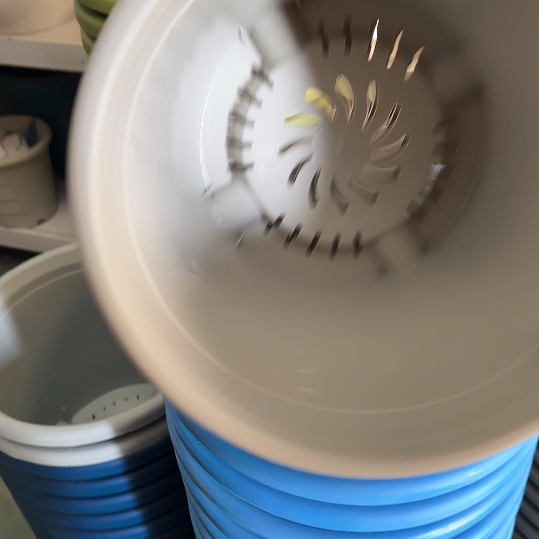 树脂四季5号无托6个灰白微瑕