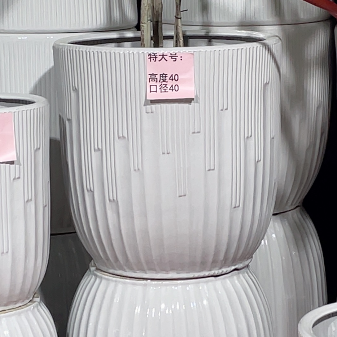 王***人特大号纯白色2个花盆