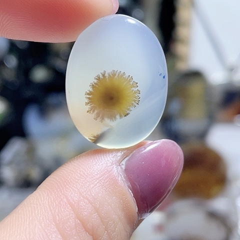 未镶嵌玛瑙/玉髓珠宝奇石