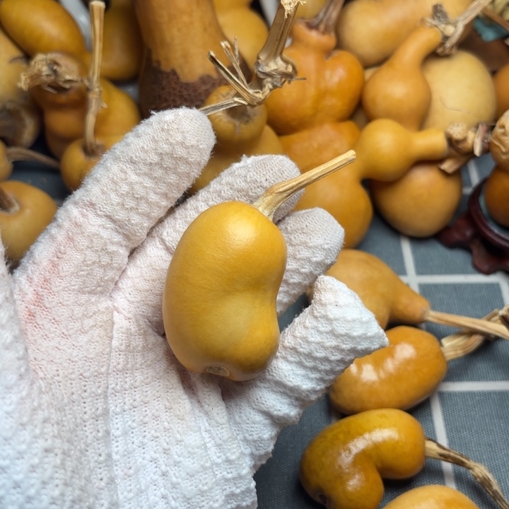 龙***也葫芦6666666666666