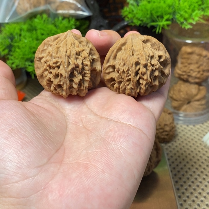 核桃手串/手链蓟县红39