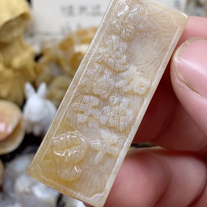 颈饰未镶嵌硅化珊瑚（珊瑚玉）