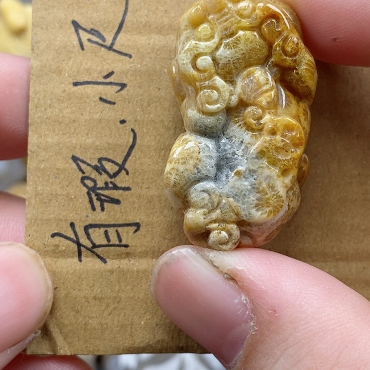 颈饰未镶嵌硅化珊瑚（珊瑚玉）