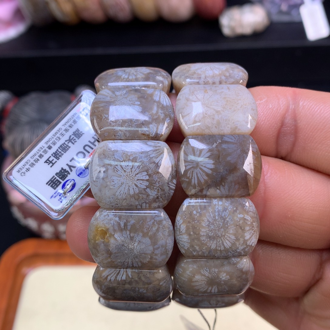 硅化珊瑚（珊瑚玉）未镶嵌颈饰48号单价248一条可挑选