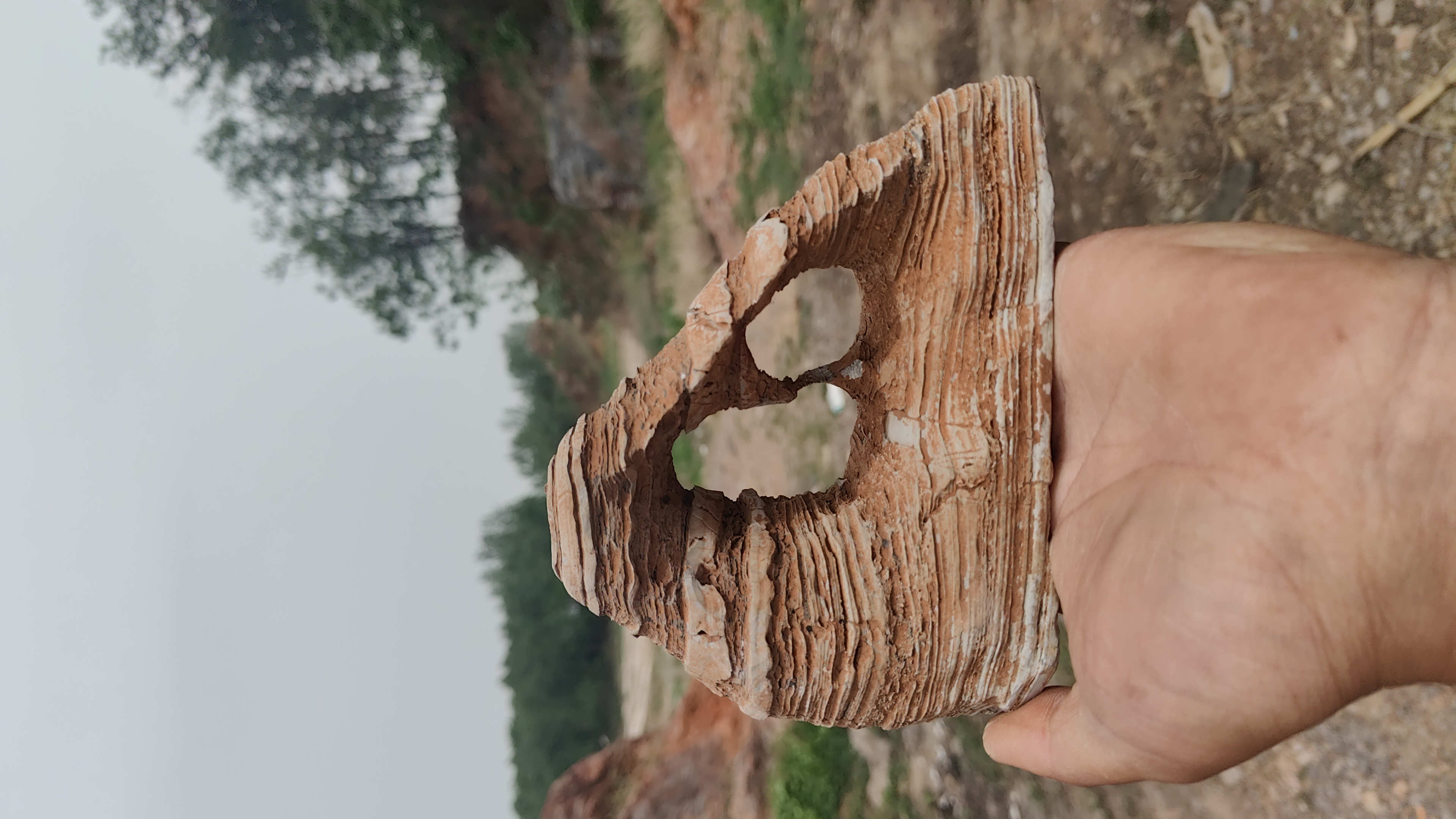 灵璧滴水千层观赏石可用于鱼缸造景的奇石