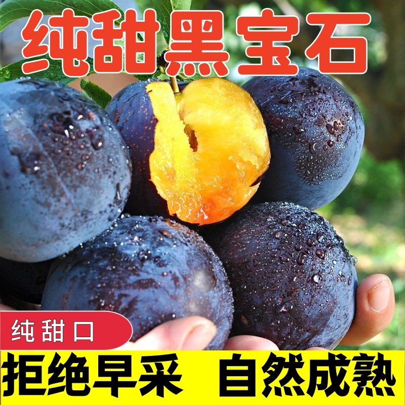 陕西周至现摘黑黑宝石李子新鲜5斤酸甜当季水果维生素c软硬两吃