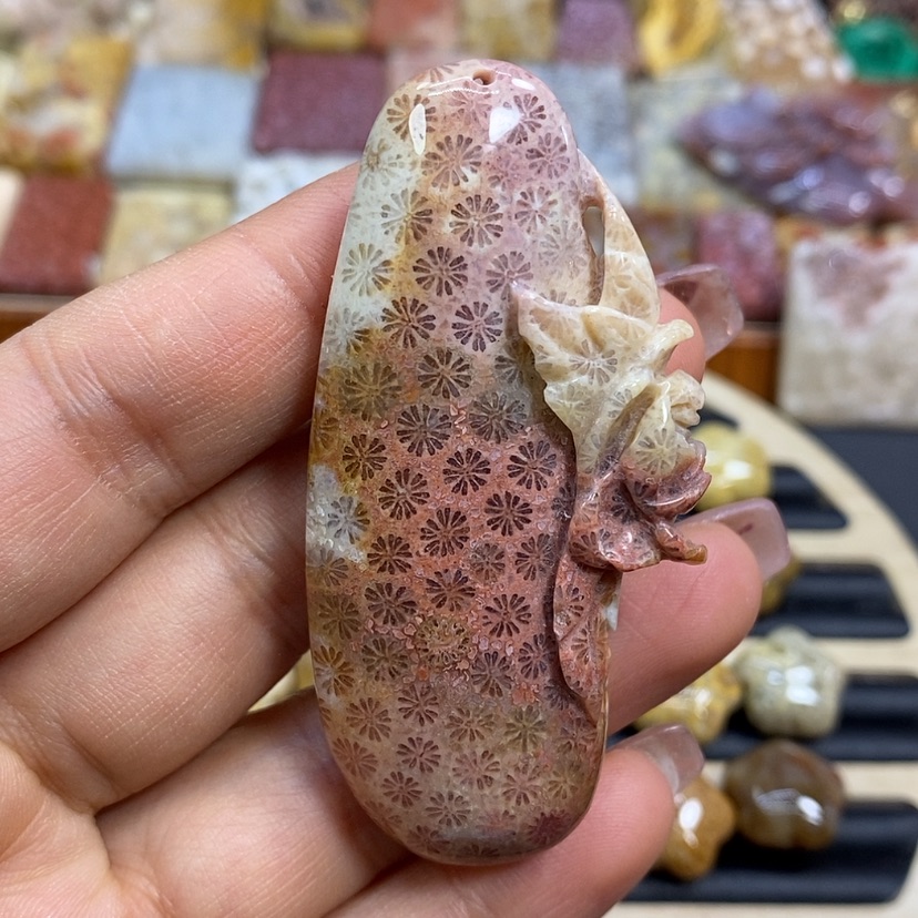 【闪购商品】硅化珊瑚（珊瑚玉）颈饰未镶嵌K35