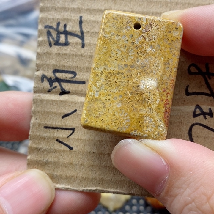 硅化珊瑚（珊瑚玉）颈饰未镶嵌天****1