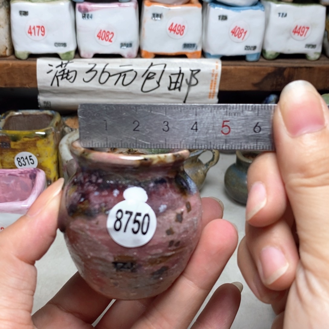 拍5送一个小礼物