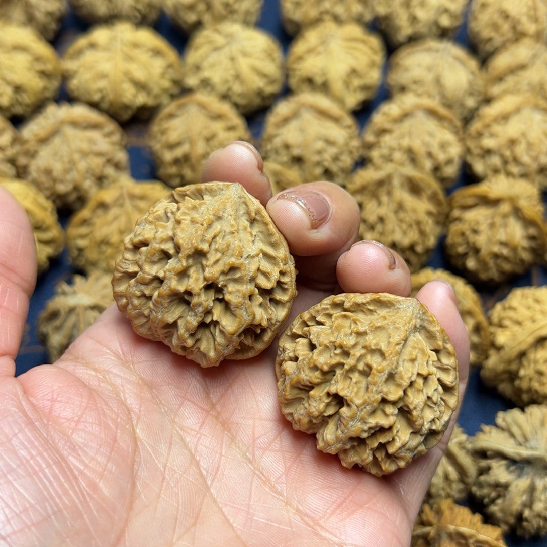 文玩核桃把件秦岭野生植物核桃