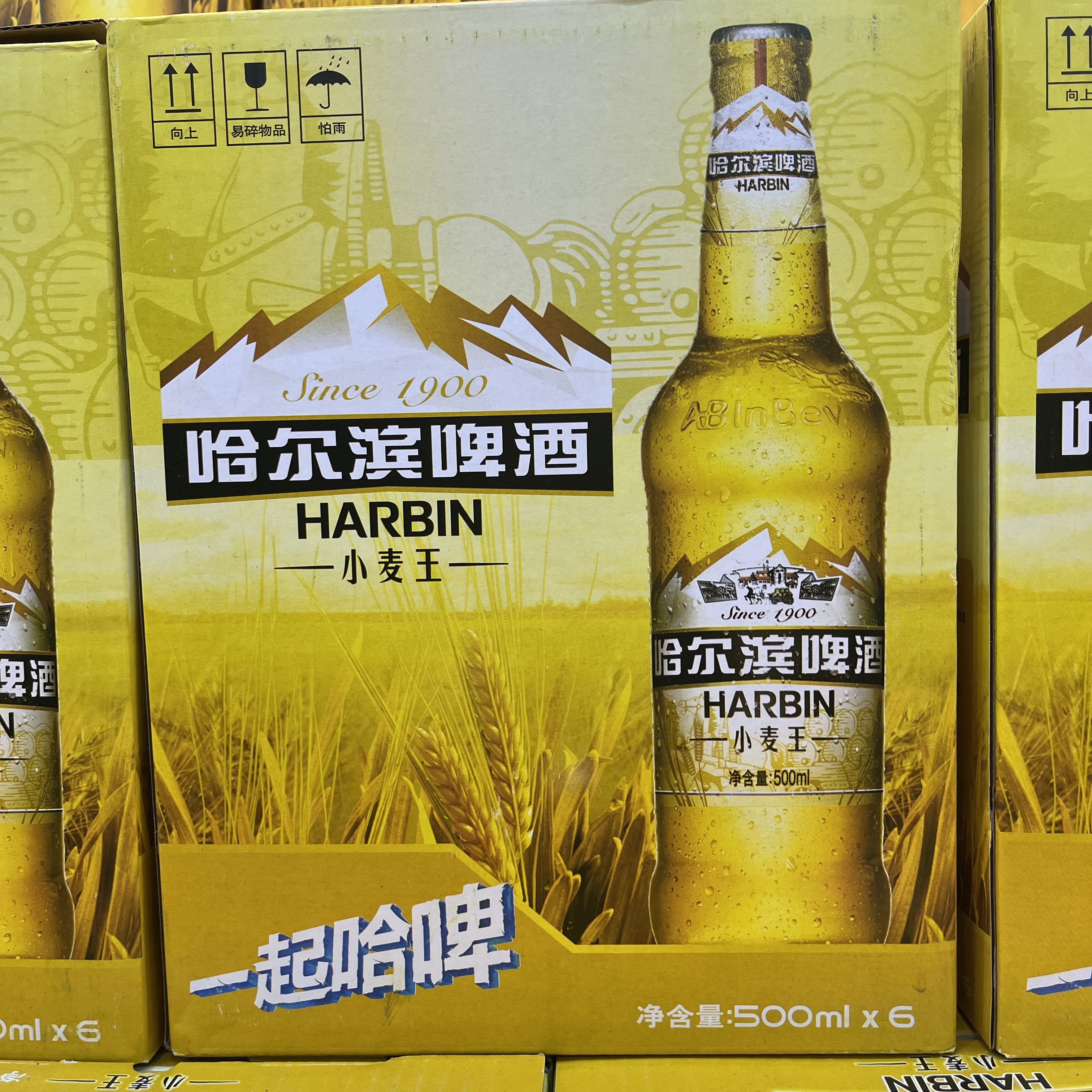 哈尔滨啤酒小麦王500ml x6（商超）啤酒同城送