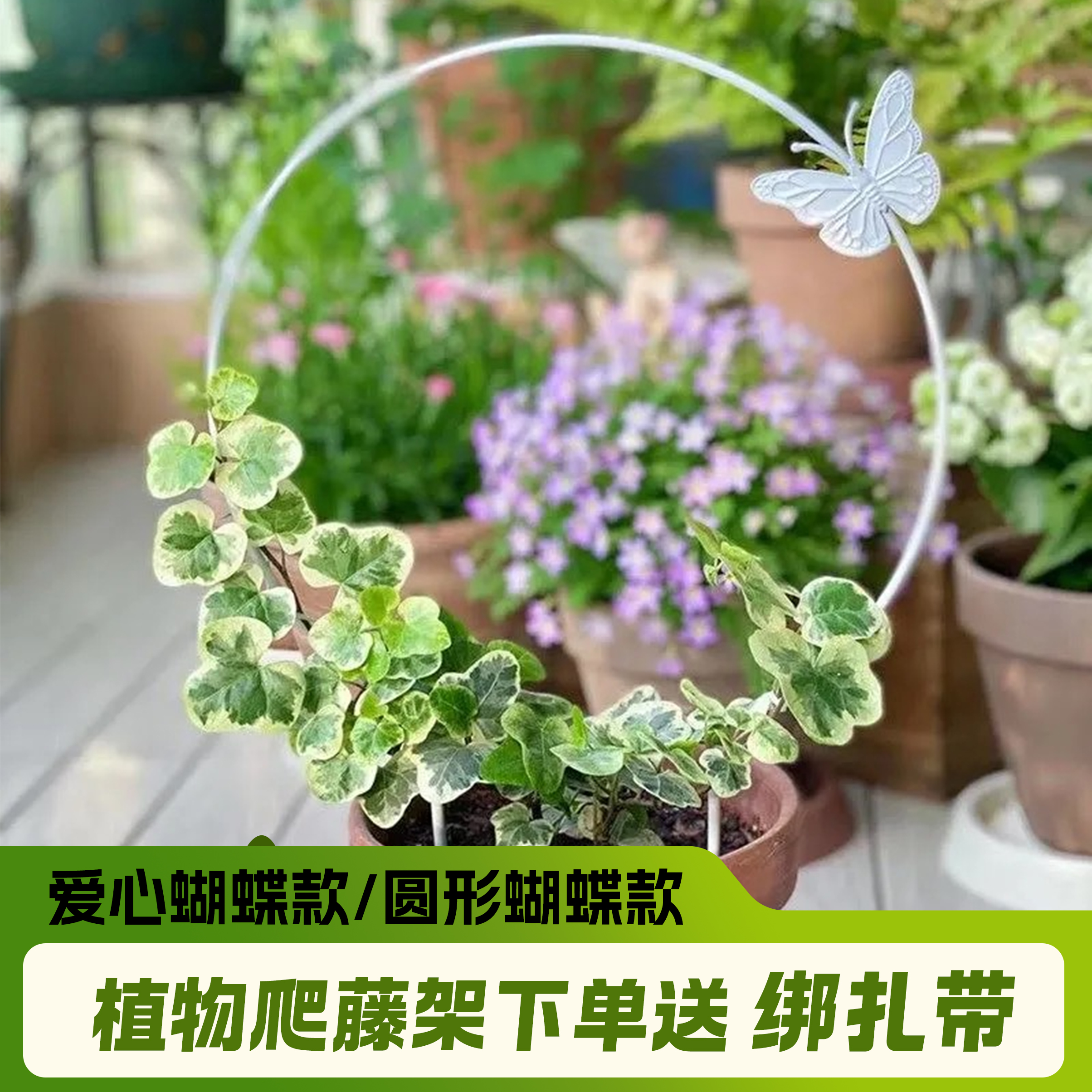 太阳花山乌龟铁线莲爬藤架园艺月季绿萝攀爬架盆栽植物造型金属架
