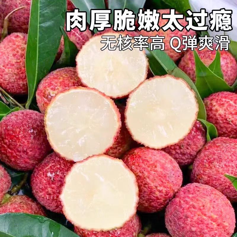 【顺丰次日达】火山岩无核荔枝大果新鲜水果现摘现发1斤3斤5斤净果同城荔枝同城送海南省