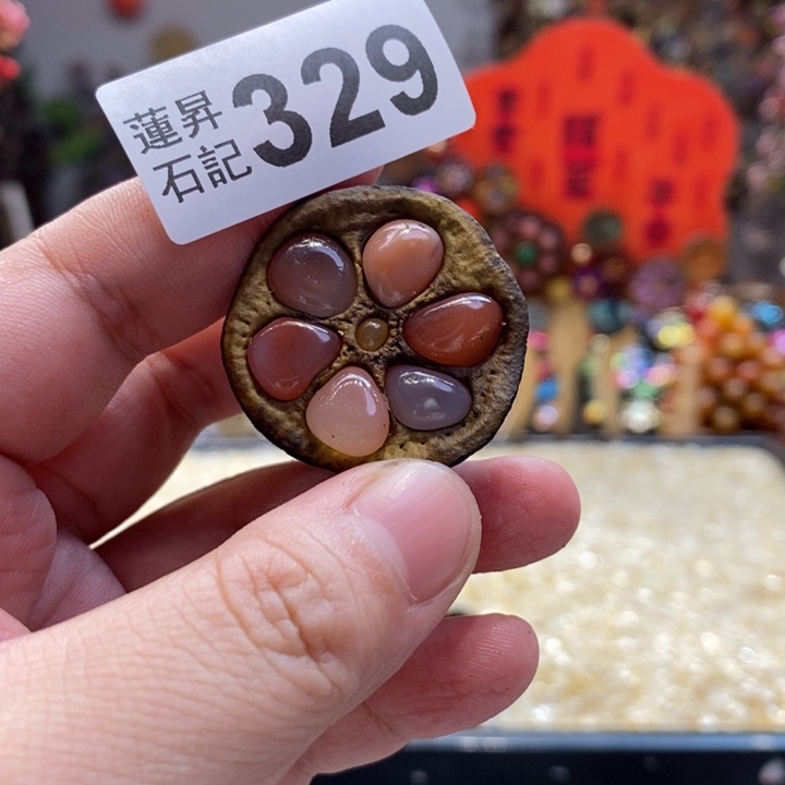 核桃木/黑胡桃（胡桃木）珊***游329