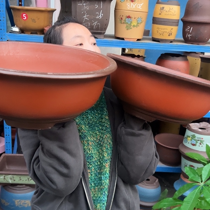 30+30小红花盆花盆花盆花盆