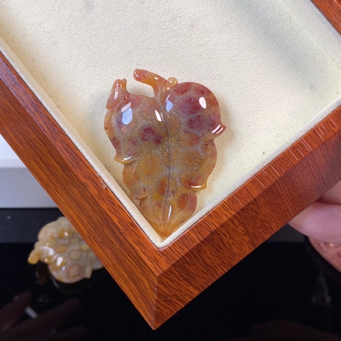 硅化珊瑚（珊瑚玉）未镶嵌颈饰770