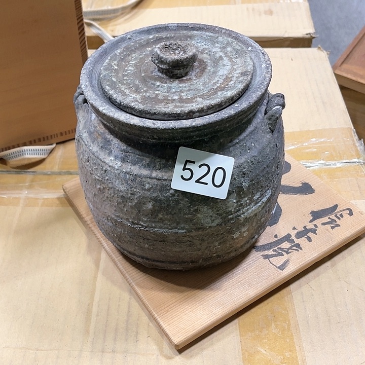 茶宠我们都在努力着改变着我们