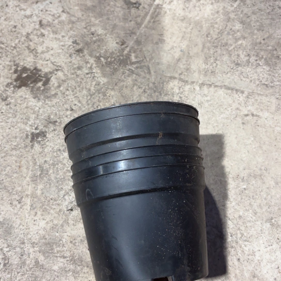 黑色养殖盆13.5✖️10发45个