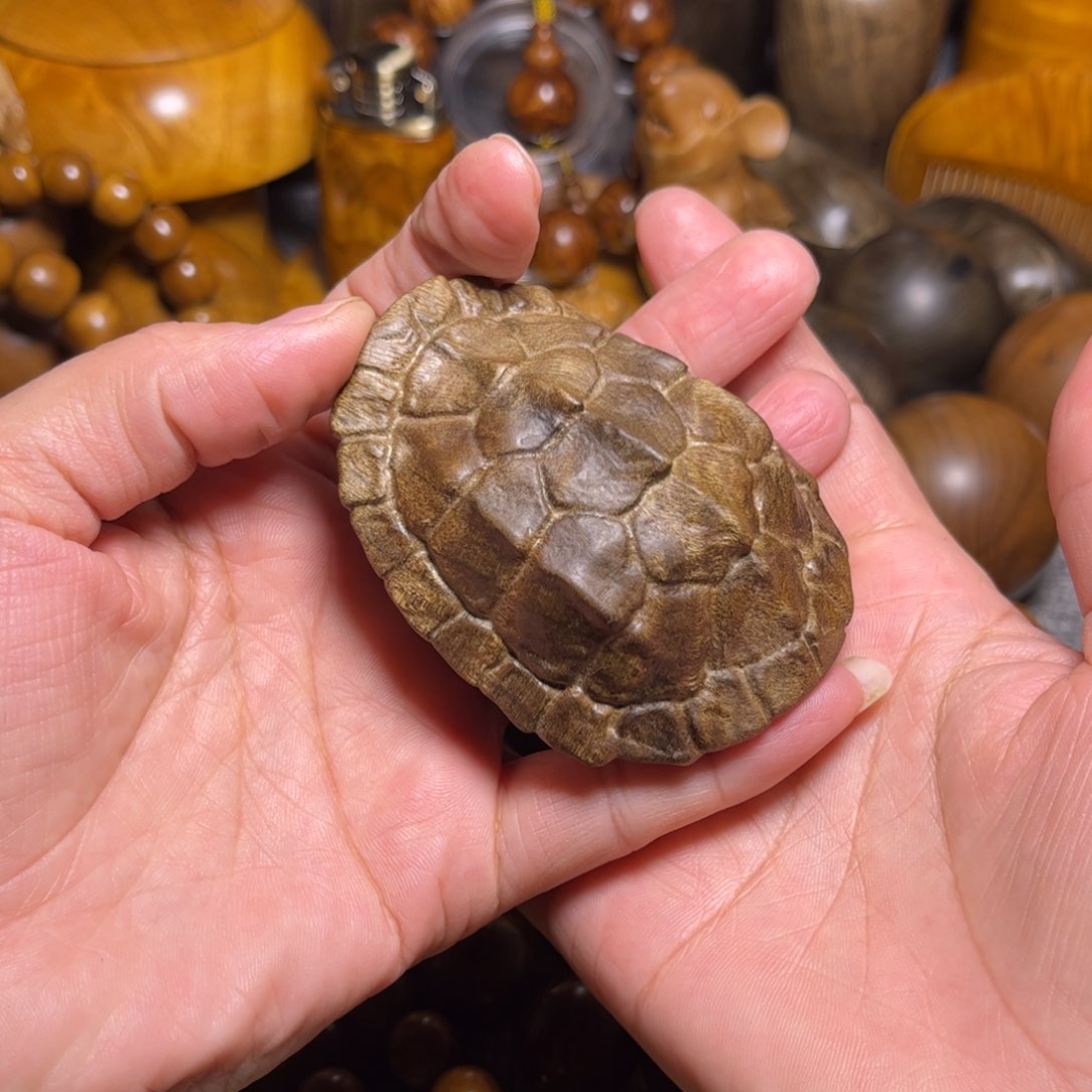 金丝楠富甲小叶桢楠