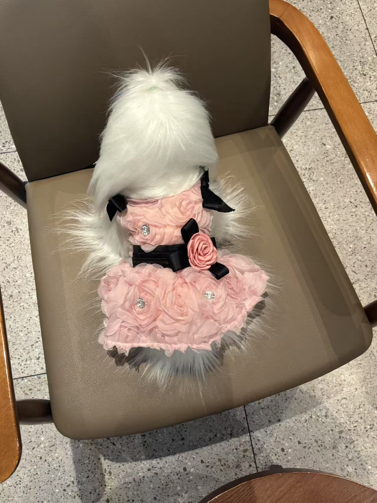 宠物婚纱礼服豆沙粉玫瑰花裙高定猫狗公主裙