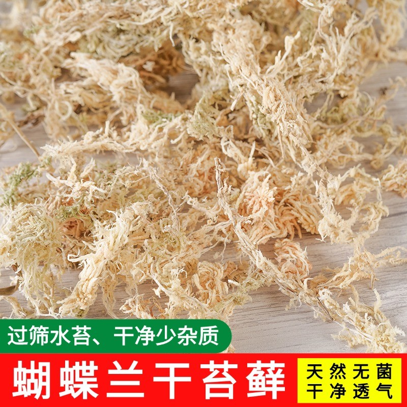 干水苔蝴蝶兰专用青苔兰花石斛专用土苔藓乌龟垫料家用园艺用品